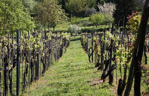 Borgo San Benedetto - Foto 27