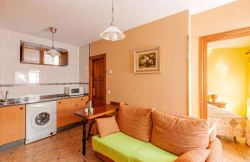 Apartamentos la Regoria - Foto 16