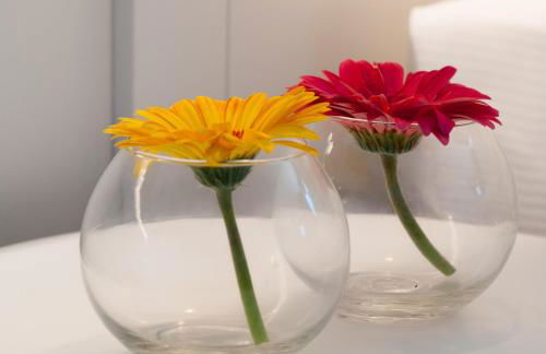 Residence Ten Suite - Photo 44