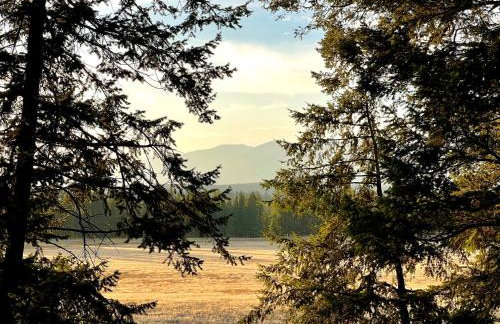 Glacier's Edge Cabins - Foto 13