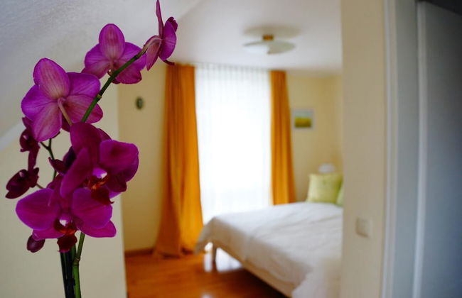 Boardinghouse Nordpark - Foto 11