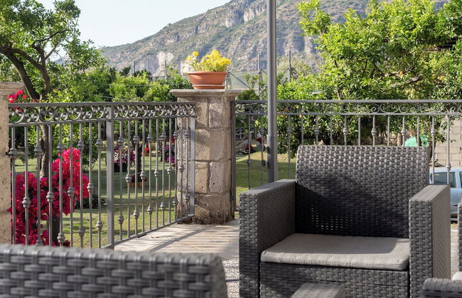 Giardino di Nonno Lucio - Foto 52