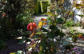 Maison familiale à 10 min du Mont Saint Michel - Foto 18