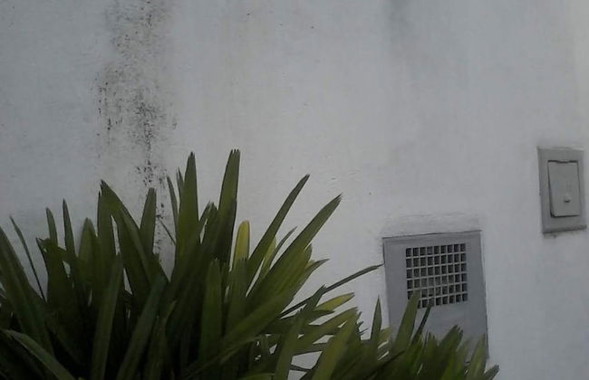 Casa Central - Foto 20