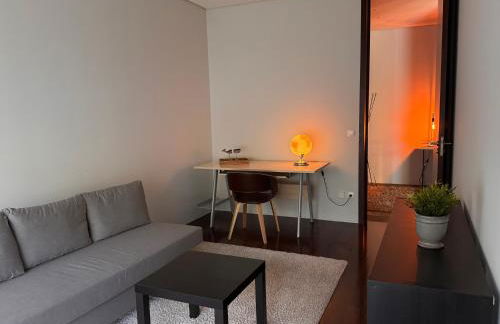 Villa Branco in the North of Portugal - Foto 63