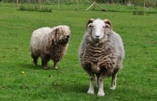 2 Bed in Hope Mansell 73253 - Foto 26