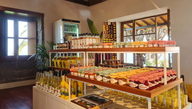 Banana World Guided Tour - Foto 4