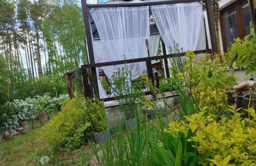 Domek w Borach Tucholskich - Wycinki - Foto 36