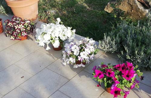 La casetta di samba - Foto 37