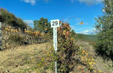 Quinta da Penada - Vineyard & Winery - Suíte 3 - Foto 19