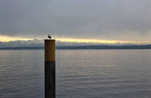 FeWo Lichtblick - Foto 63