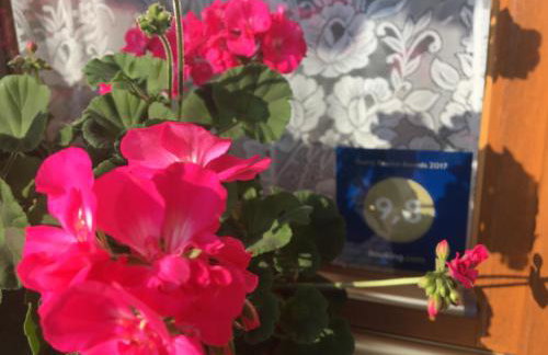 Apartamenty w Jurgowie Świstokówka - Foto 15