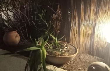 Dimora La Fenice - Foto 16