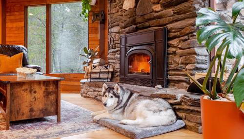 MapleCastle == HotTub, RiverSide, IndoorHummock, FirePlace, BackYard - Foto 3, pet friendly