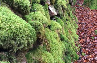 Rosemount Bothy - Highland Cottage - Foto 52