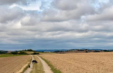 Hof zur Nette -Stilvoller Rückzugsort im Herzen des Maifelds - Foto 27