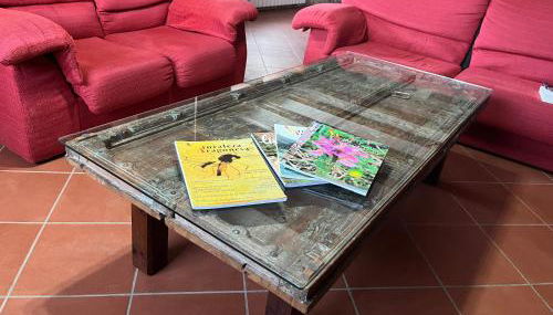 MOLINO DOLZ - Foto 4