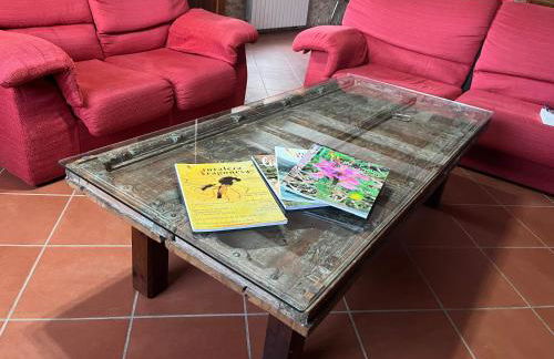 MOLINO DOLZ - Foto 4