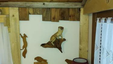 Steila da Mont Campitello - Foto 3