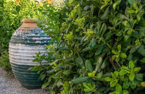 Nikargy Avra - Foto 16