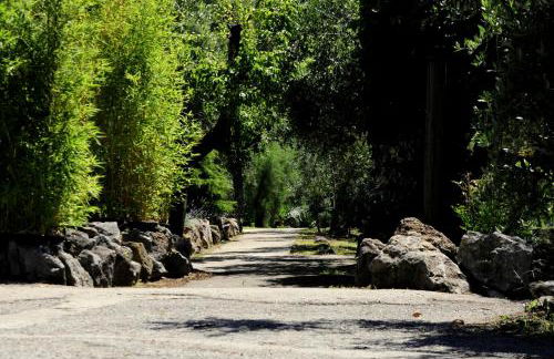 Agriturismo La Sorgente di Rossi Valentino - Foto 25