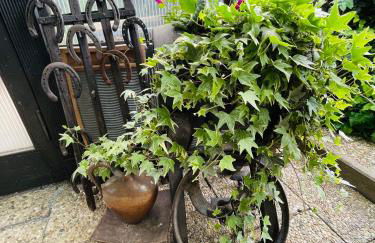 Ferienwohnung Boller I für 2 Personen - Foto 18