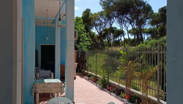 Bibbona Summer - Pineta 1 - - Foto 2