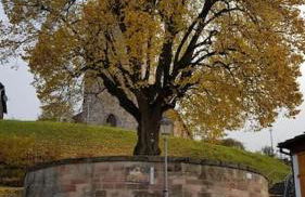 Ferienwohnung Zum Märchenwald - Foto 27