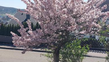 Ferienwohnung Josi 64 qm, 1 Schlafzimmer, 1 Wohnzimmer - Foto 5