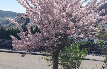 Ferienwohnung Josi 64 qm, 1 Schlafzimmer, 1 Wohnzimmer - Foto 5