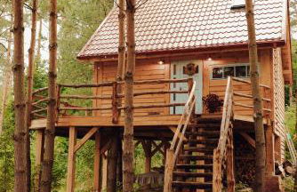 Iglasta chata - Foto 1