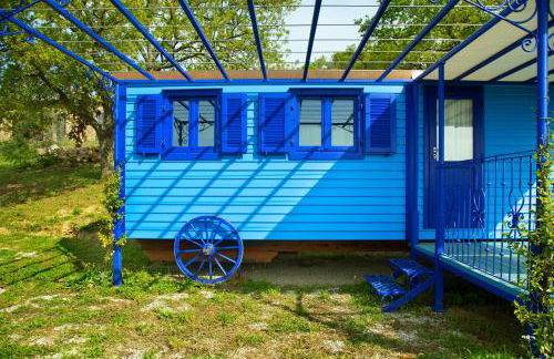 Poggio Diavolino - Suvereto - Foto 45