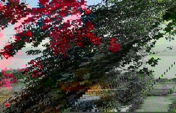 Myra Stunning Seaview Maisonette - Foto 27