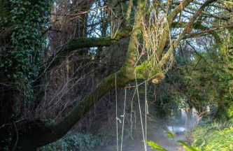 West Cottage, Cerne Abbas Lane - Photo 26