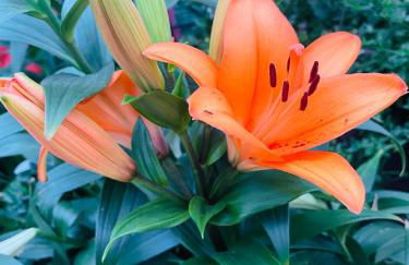 Figueres Center - Foto 42