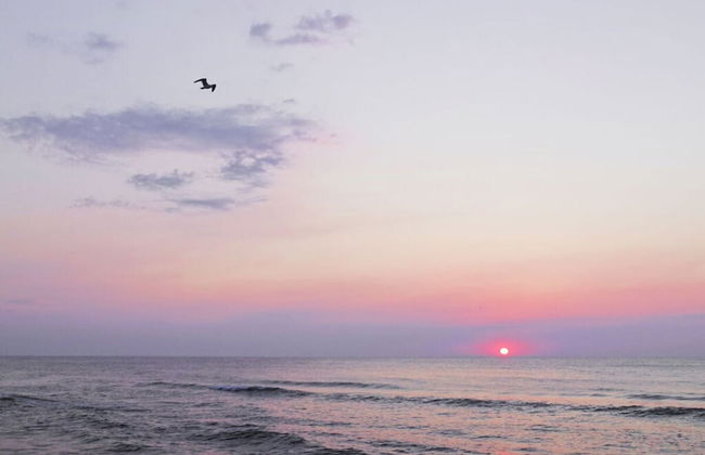 Beach House Dune 19 - Joy - Photo 10