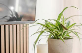 Troja Living Helena - Wohnung zentral in Bruchsal - Foto 40