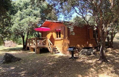 chalets bois 150m de la plage - Foto 1