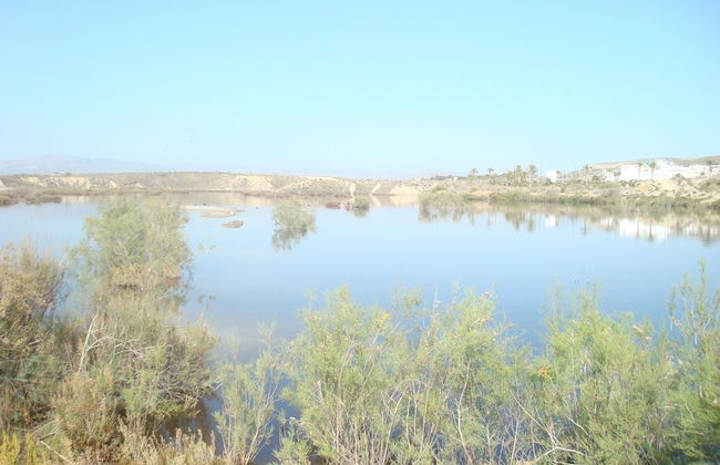 Charming Vacation Rental in Vera Spain Ideal Retreat for Families and Pet Lover - Foto 23