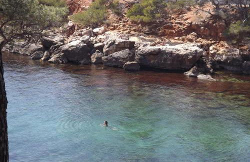 le cytharis - Foto 62