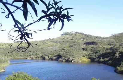 Casas de Campo do Castro da Cola - Foto 67