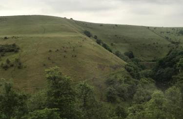 River View - Photo 38