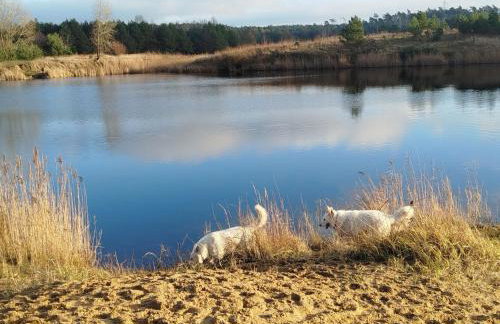Agroturystyka Traperska Osada - Foto 32