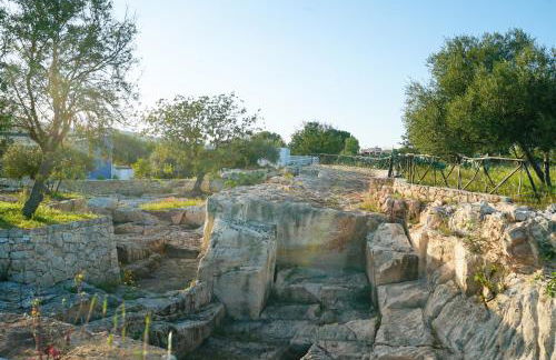 Le Cave di Fontane Bianche - Photo 70