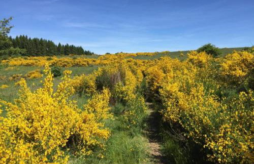 Modernes Apartment mit Parkplatz in der Eifel - Foto 99