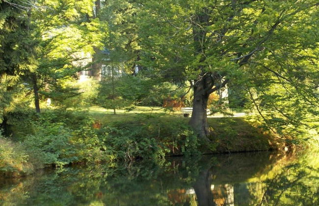 Cozy Holiday Home in Vogtland - Foto 34