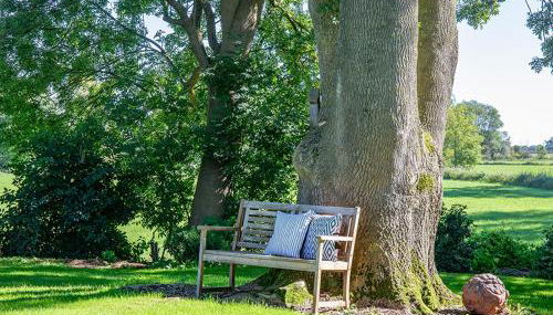 Ferienwohnungen Krautsand - Foto 5, Garden, Garden view