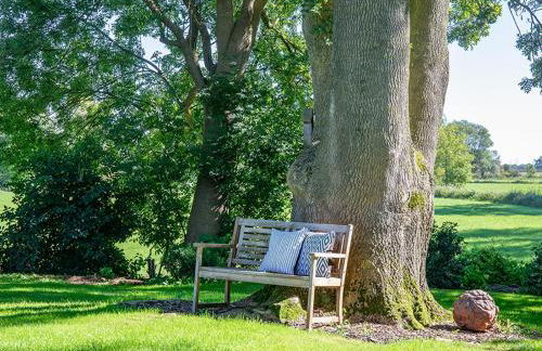 Ferienwohnungen Krautsand - Foto 5