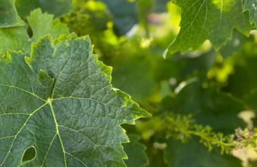 No 10 Vic Fezensac - Photo 20