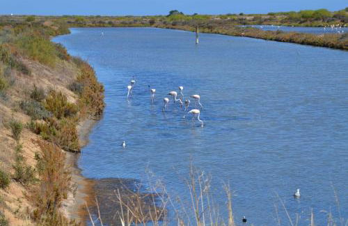Casinha Secreta - A Gema Escondida da Santa Luzia - Foto 25